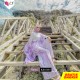 Baju Raisa Set KS10387